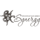 Синержи (Synergy)