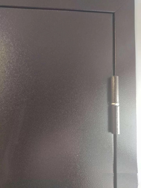 Входная дверь Промет Профи DL