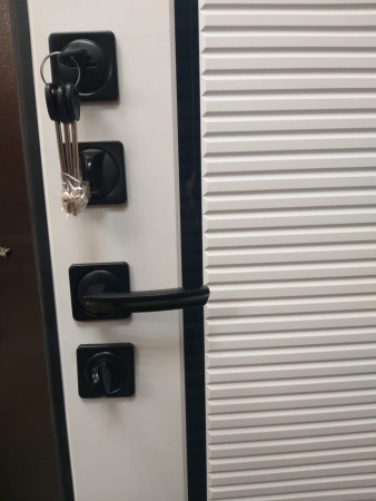 Входная дверь Страж Румо РЖ