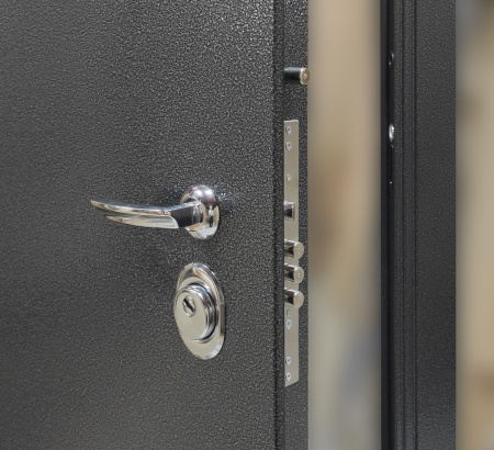 Входная дверь Берлога Тринити Нова Ромео