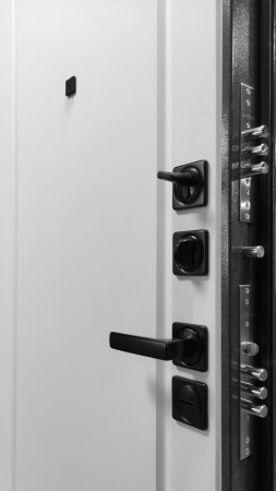 Входная дверь Argus ДА 64 Асти (промо) Black Style