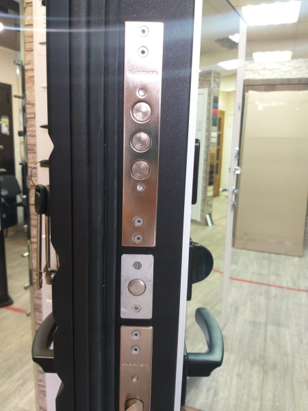 Входная дверь Страж Энца РЖ