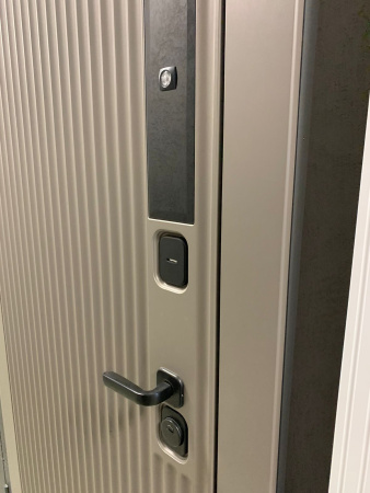 Входная дверь Страж Деспи РЖ