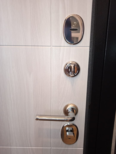 Входная дверь Мастино Family Eco 9Е-193