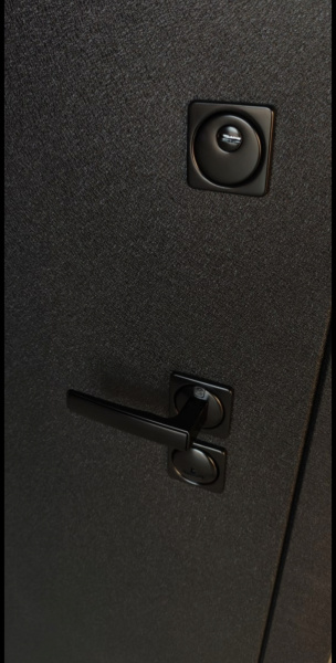 Входная дверь Argus ДА 92 (промо) Ювентус Black Style