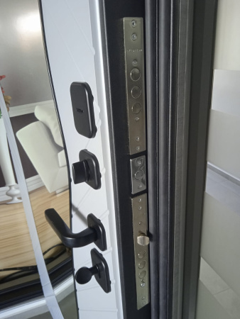 Входная дверь Страж Корса РЖ