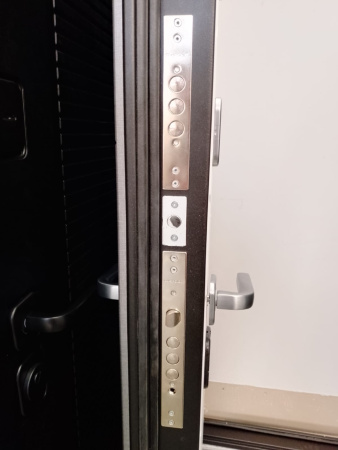 Входная дверь Страж Вальди РЖ