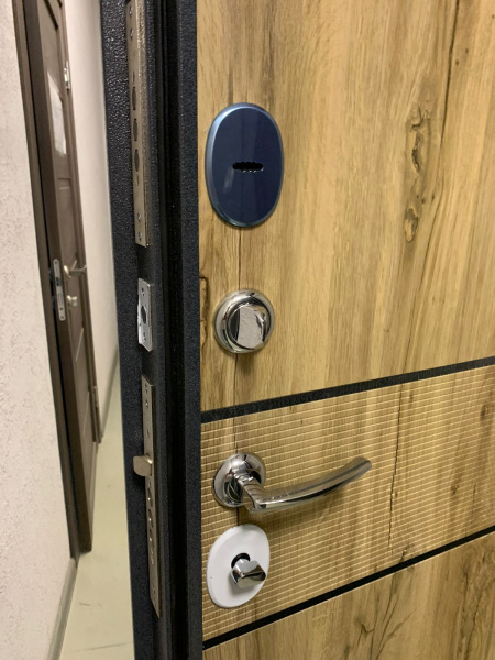 Входная дверь Мастино Trust Eco 9E-183