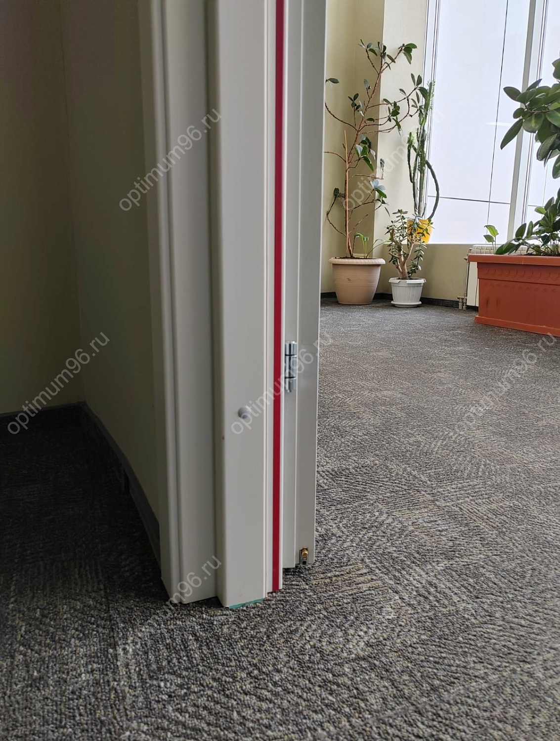 Противопожарные деревянные двери для БЦ Панорама