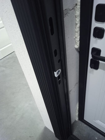 Входная дверь Страж Вилья РЖ