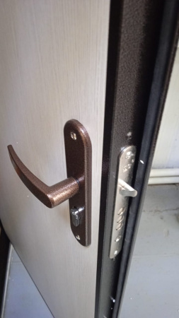 Входная дверь Страж Гост панель