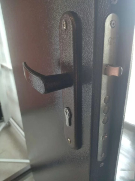 Входная дверь Промет Профи DL