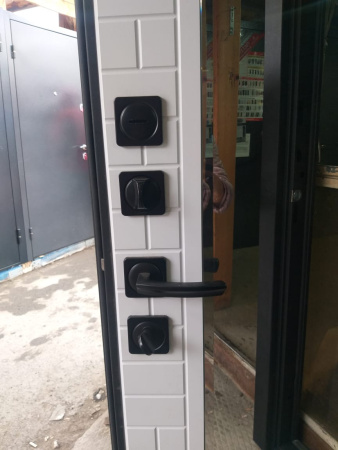 Входная дверь Страж Парини РЖ