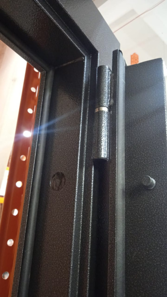 Входная дверь Страж 2К Модерн