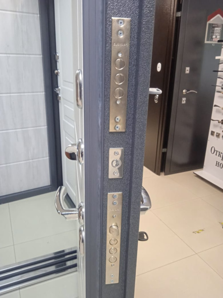 Входная дверь с терморазрывом Бульдорс TERMO 100 standart 10TD-2