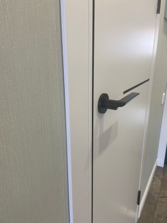 Межкомнатная дверь FlyDoors FN 32 ДГ Эмалит