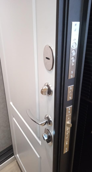 Входная дверь Мастино Trust Eco 9ED-1