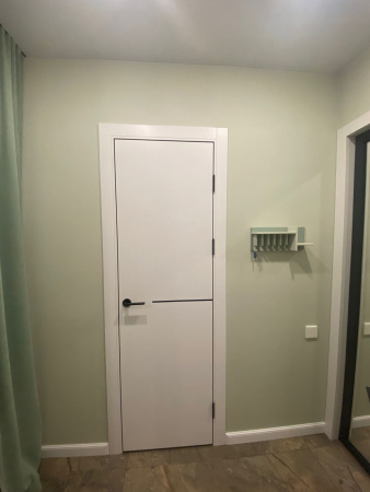 Межкомнатная дверь FlyDoors FN 32 ДГ Эмалит