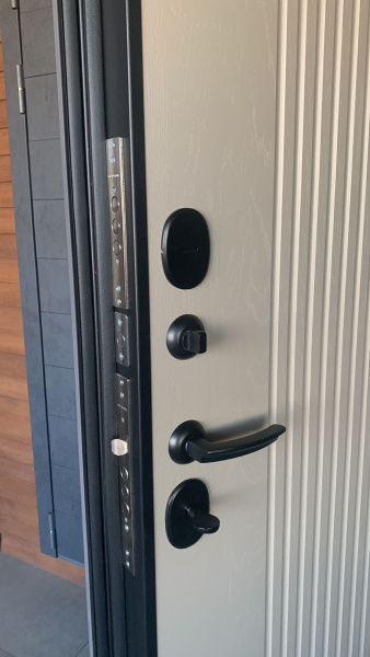 Входная дверь Страж Модика РЖ