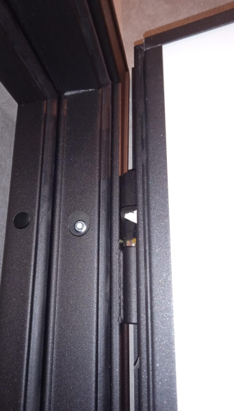 Входная дверь Мастино Trust Eco 9ED-1