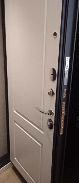 Входная дверь Мастино Trust Eco 9ED-1