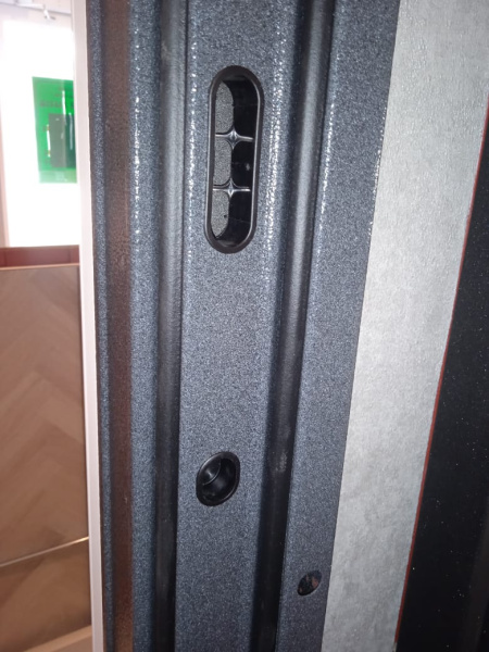 Входная дверь Мастино Family Eco 9Е-193