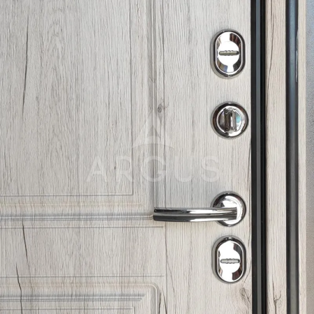 Входная дверь с терморазрывом Argus Тепло Оливер