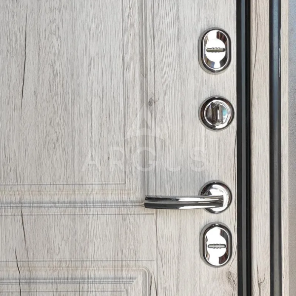 Входная дверь с терморазрывом Argus Тепло Оливер