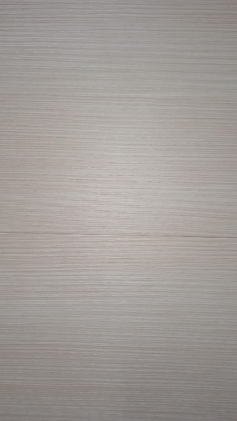 Входная дверь Страж 2К Модерн