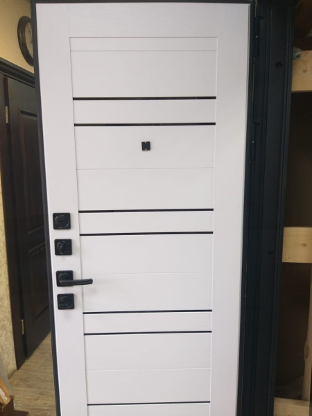 Входная дверь Страж Энца РЖ