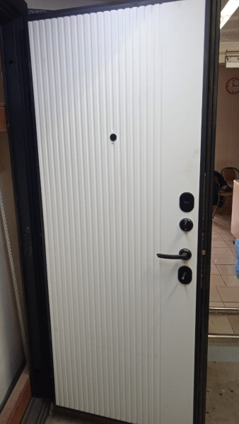 Входная дверь Страж 3К Вертикаль