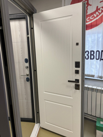 Входная дверь Страж Кристо РЖ