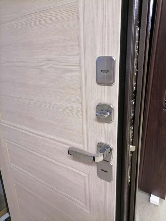 Входная дверь с терморазрывом Промет Термо Винтер 6006