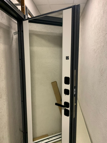 Входная дверь Мастино Trust Eco PP mirror