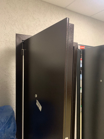 Входная дверь Страж 2К Лидер