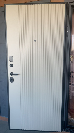 Входная дверь Страж Модика РЖ