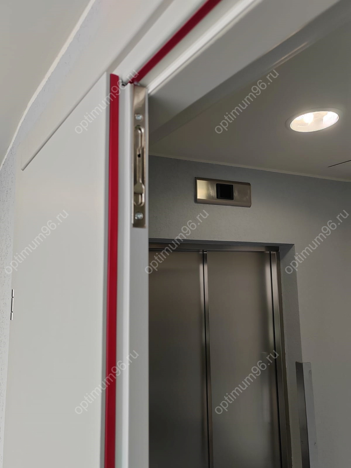 Противопожарные деревянные двери для БЦ Панорама