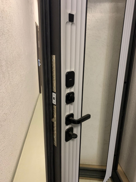 Входная дверь Страж Деспи РЖ