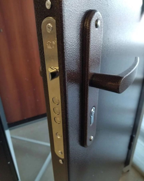 Входная дверь Промет Профи Про