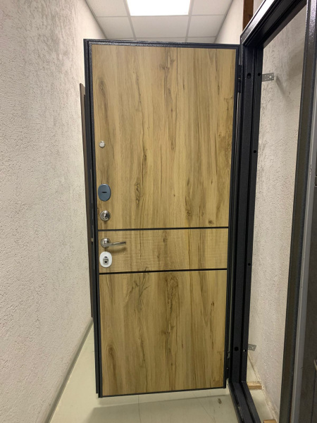 Входная дверь Мастино Trust Eco 9E-183