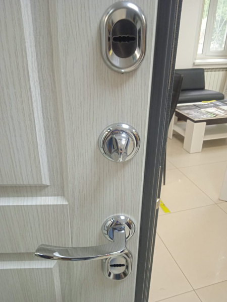 Входная дверь с терморазрывом Бульдорс TERMO 100 standart 10TD-2