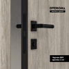 Межкомнатная дверь DVERONA Флэт CPL Дуб пепельный/ ABS черная 900х2000