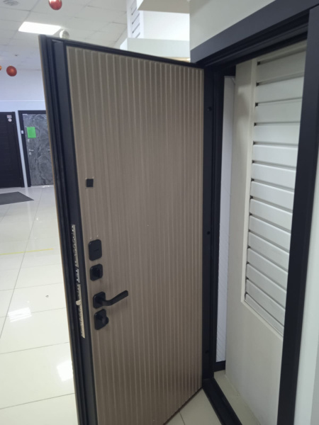 Входная дверь Страж Модика РЖ