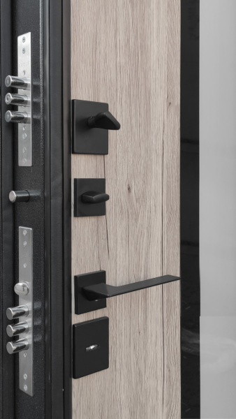 Входная дверь с терморазрывом Argus Тепло Букле черный Виана