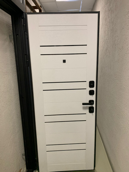 Входная дверь Страж Энца РЖ