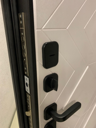 Входная дверь Страж Сангано РЖ