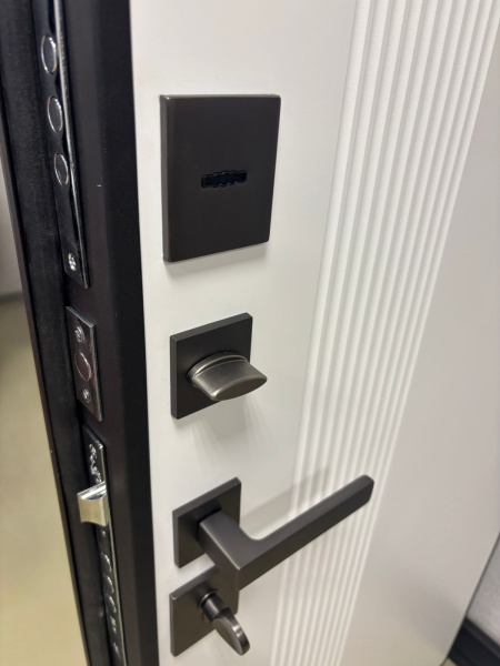 Входная дверь Страж 2К Горизонт PP