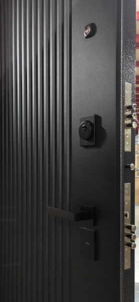 Входная дверь Берлога Тринити Элемент 2П