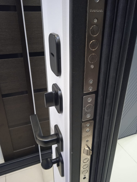 Входная дверь Страж Конте РЖ