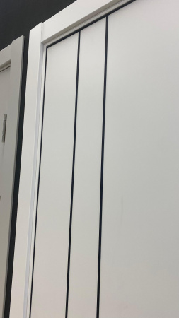 Межкомнатная дверь FlyDoors MATRIX 58 AB Эмалит